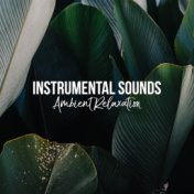 Instrumental Sounds: Ambient Relaxation