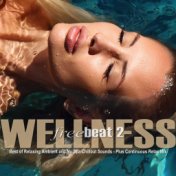 Wellness Freebeat, Vol. 2 (Best of Relaxing Ambient and Nu Spa Chillout Sounds)