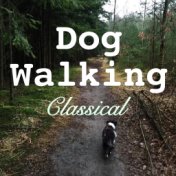 Dog Walking Classical