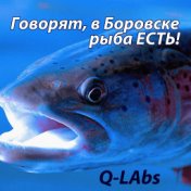 Говорят, в Боровске рыба есть!