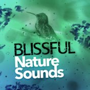 Blissful Nature Sounds