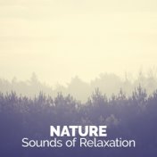 Nature: Sounds of Relaxation
