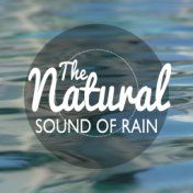 The Natural Sound of Rain