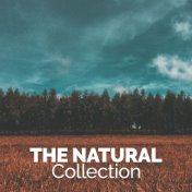 The Nature Collection