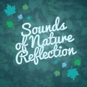 Sounds of Nature: Reflection
