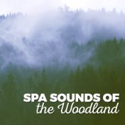 Spa Sounds of the Woodland