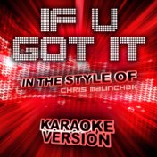 If U Got It (In the Style of Chris Malinchak) [Karaoke Version] - Single