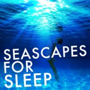 Seascapes for Sleep