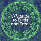 Meditate to Birds and Trees