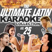 The Ultimate Latin Karaoke Collection, Vol. 25