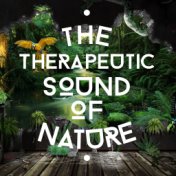 The Therapeutic Sound of Nature