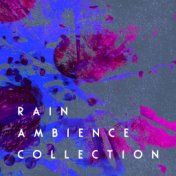 Rain Ambience Collection