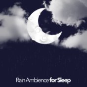 Rain Ambience for Sleep