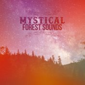 Mystical Forest Sounds