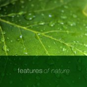 Features of Nature