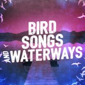 Bird Songs and Waterways