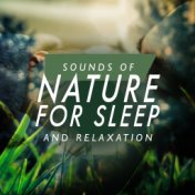 Sounds of Nature for Sleep and Relaxation