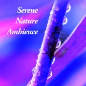 Serene Nature Ambience