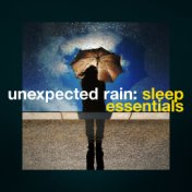 Unexpected Rain: Sleep Essentials