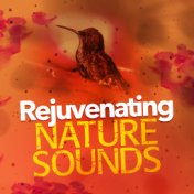 Rejuvenating Nature Sounds