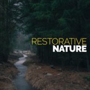 Restorative Nature