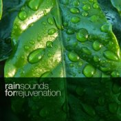 Rain Sounds for Rejuvenation