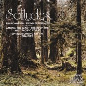 Solitudes, Vol. 3: Among the Giant Trees of the Wild Pacific Coast