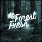 Forest Fresh