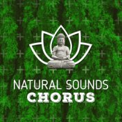 Natural Sounds Chorus