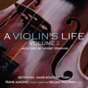 A Violin's Life, Volume 2