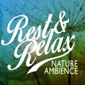 Rest & Relax Nature Ambience