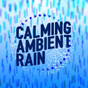 Calming Ambient Rain: Drops of Rain, Soothing Sounds, Natural Meditation, Inertia, Zen