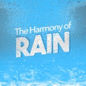 The Harmony of Rain