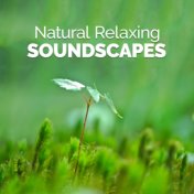 Natural Relaxing Soundscapes