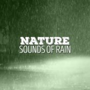 Nature: Sounds of Rain