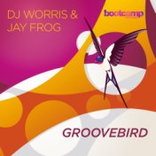 Groovebird