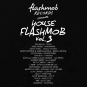 House Flashmob, Vol. 3