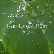 !!" Rainforest Rain Drops "!!