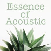 Essence of Acoustic