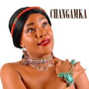 Changamka