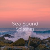 !!" Sea Sound Splashes "!!