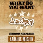 What Do You Want (In the Style of Jerrod Niemann) [Karaoke Version] - Single