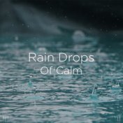 !!" Rain Drops Of Calm "!!