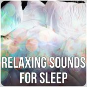 Relaxing Sounds for Sleep – Long Sleep, New Age Deep Sleep for Relaxation Meditation, Serenity Lullabies with Relaxing Nature So...