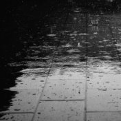 The Essential Pluviophile Playlist: Sounds of Rain for Peaceful Slumber