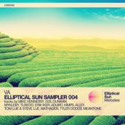 Elliptical Sun Sampler 004