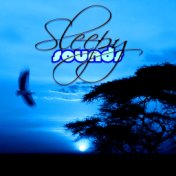 Sleepy Sounds – Relaxing Music for Deep Sleep, Soothing Nature Sounds, Baby Lullaby, Music for Toddlers to Calm Down, Massage Re...