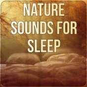 Nature Sounds for Sleep - Insomnia Therapy, Peaceful Music, Sleep Music to Help You Relax all Night, Instrumental Music for Mass...