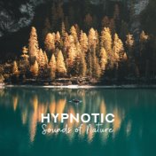 Hypnotic Sounds of Nature: Meditation and Relaxation, Positive Morning, Time for You, Good Morning Rituals