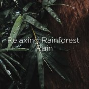 Relaxing Rainforest Rain
